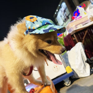 Monster Print Blue Cap for Dog