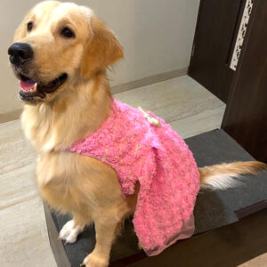 Partywear Floral Dress – Pink